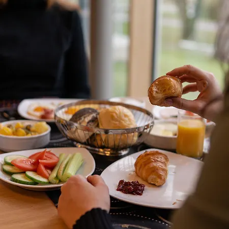 Hotel Dorint Parkhotel Jordanbad 4*