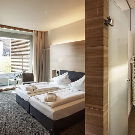 Dorint Parkhotel Jordanbad 酒店