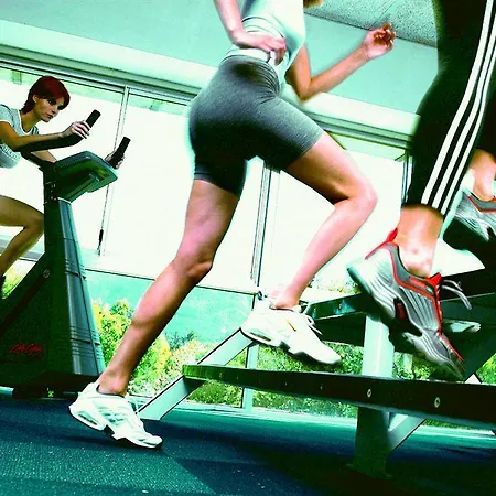 Hotel Dorint Parkhotel Jordanbad 4*