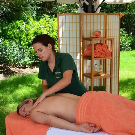 Hotel Dorint Parkhotel Jordanbad